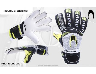 HO78.29 - IKARUS GECKO